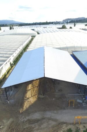 1cdc8f4c-f72a-42ed-a94a-90f0d9fbee96