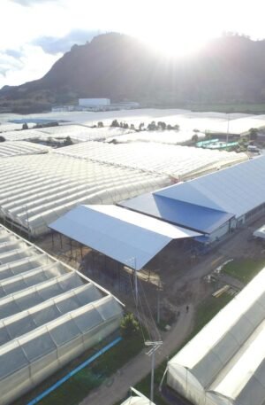 a7078e6c-6496-4e85-9d5e-aca416e67ef0